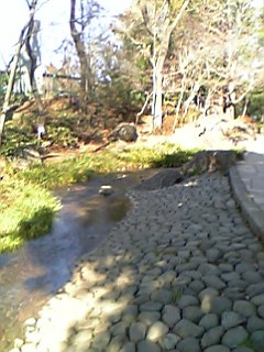 公園内を流れる川